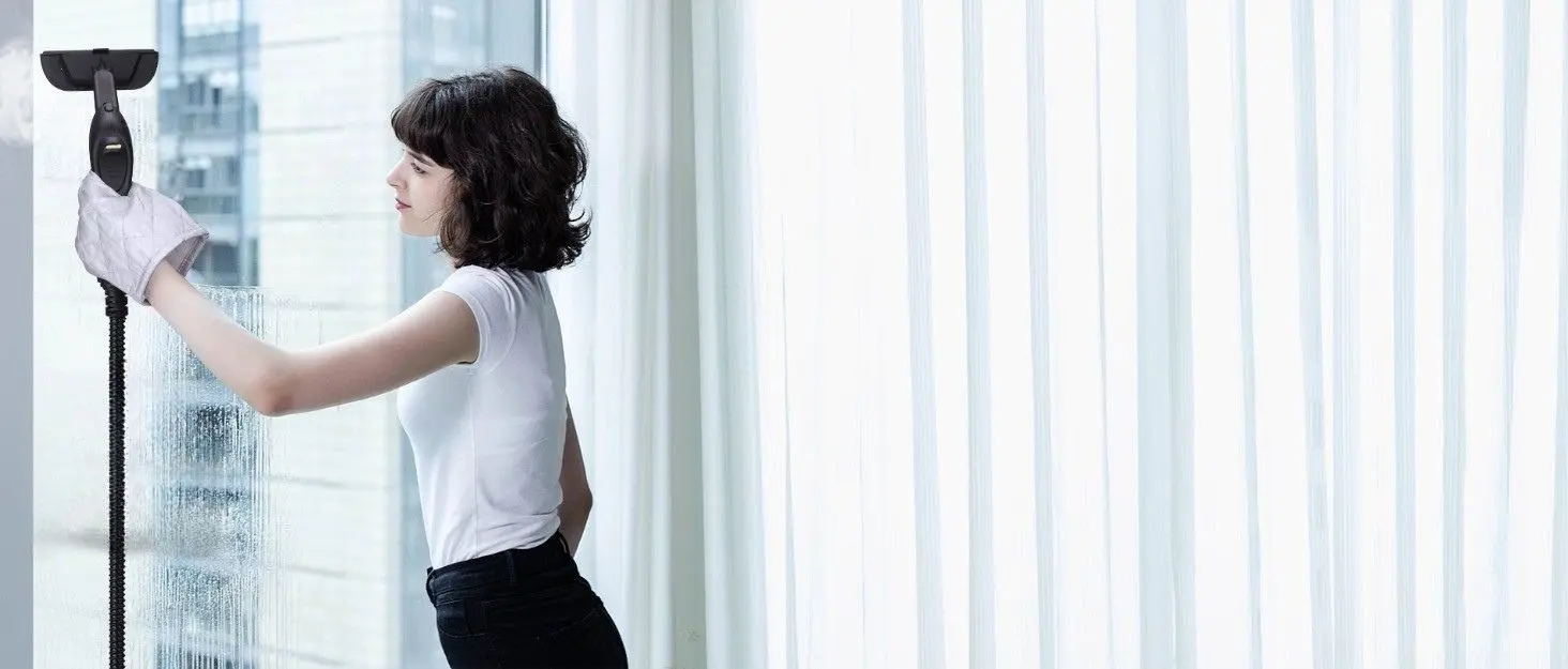 Waitbird Steam Cleaners