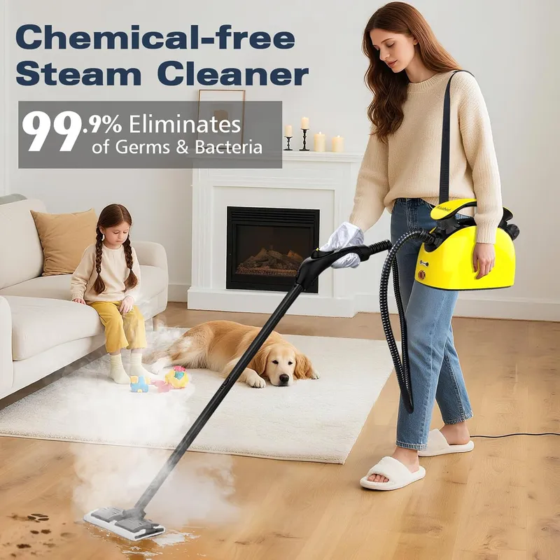 Waitbird Steam cleaner equipped with 21 specialized accessories
